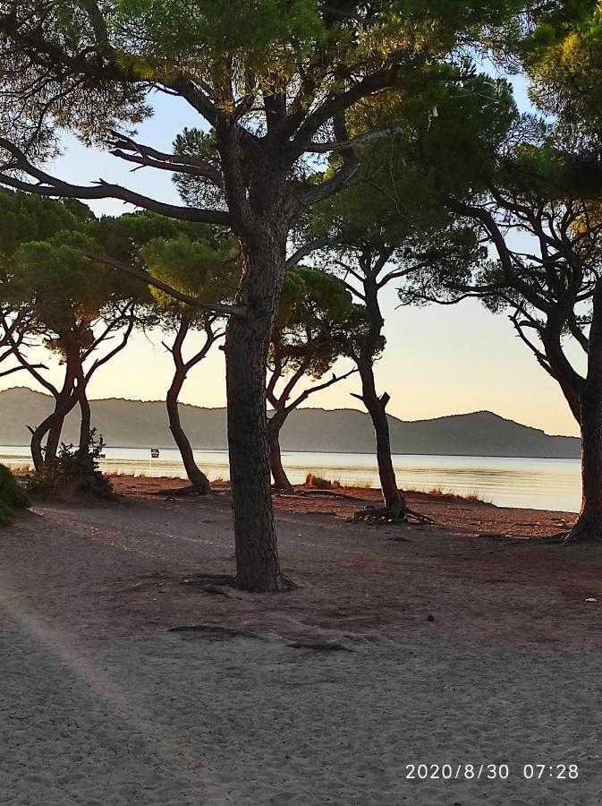 Seaside Glow شينياس المظهر الخارجي الصورة