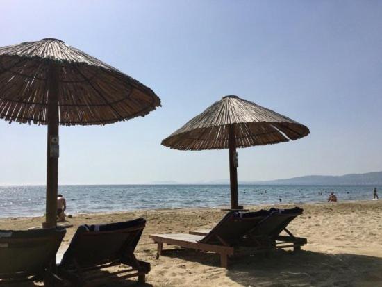 Seaside Glow شينياس المظهر الخارجي الصورة