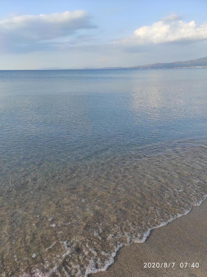 Seaside Glow شينياس المظهر الخارجي الصورة
